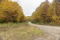 Dirt road curving through New Hampshire woods Royalty Free Stock Photo