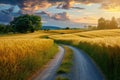 A dirt road cutting through a vibrant and expansive wheat field, creating a picturesque scene of rural beauty, A quiet country Royalty Free Stock Photo