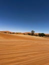 Dirt road in desert. Sand road to Sossusvlei Deadvlei. Lonely tree. Royalty Free Stock Photo