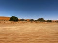 Dirt road in desert. Sand road to Sossusvlei Deadvlei. Lonely tree. Royalty Free Stock Photo