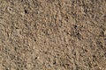 Dirt Road, Detail of surface texture with small pebble rock