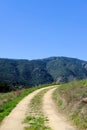 Dirt road disappearing into a curve