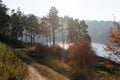 Dirt road, Distance view. Morning landscape. Pine forest, sun rays, glow, river lake, mountains. Summer camping warm colors. Royalty Free Stock Photo