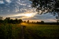 dirt road with a dog at sunset, mysterious landscape Royalty Free Stock Photo