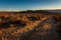 Dirt road in high desert landscape to distant dark hills and snowy mountains