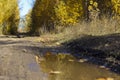 Dirt road at the edge of the forest Royalty Free Stock Photo