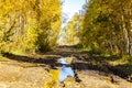 Dirt road at the edge of the forest Royalty Free Stock Photo