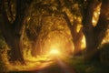 A dirt road enveloped by trees, with sunlight streaming through the dense foliage, illuminating the path beneath, Magical tree Royalty Free Stock Photo
