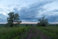 dirt road evening landscape in the steppe
