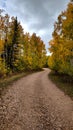 Dirt Road in Fall Royalty Free Stock Photo