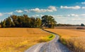 Dirt road through farm fields in rural York County, Pennsylvania Royalty Free Stock Photo