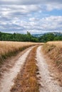 Dirt road on a farm land with a green forest and cloudy blue sky background. Yellow grass land or wheat field on a Royalty Free Stock Photo