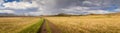 Dirt road in field with cycling tourist