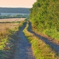 A dirt road beside a field in the Danish countryside in summer. Rocky gravel path through rustic grass or farm land in Royalty Free Stock Photo