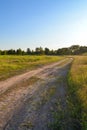 Dirt road in the field. Evening rural landscape. Russia