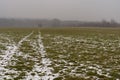 A dirt road through a field of frosted grass Royalty Free Stock Photo