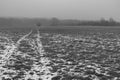 A dirt road through a field of frosted grass Royalty Free Stock Photo