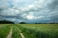 Dirt road through a field with green grain and dark rainy clouds on the sky in Nowiny, Poland Royalty Free Stock Photo