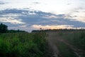 Dirt road through the field late in the evening Royalty Free Stock Photo