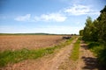 Dirt road in field Royalty Free Stock Photo