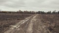Dirt road in field Royalty Free Stock Photo