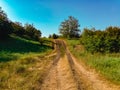 Dirt road through the field on a sunny day. Royalty Free Stock Photo