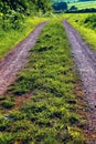 Dirt road Royalty Free Stock Photo