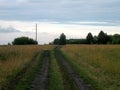 Dirt road in the field at sunset on a summer evening. Tall, untrimmed grass. The sky is illuminated by the sunset light. Ruts of Royalty Free Stock Photo