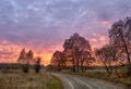 Dirt road among fields and forests at dawn. Royalty Free Stock Photo