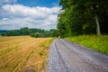 Dirt road and fields in rural Baltimore County, Maryland. Royalty Free Stock Photo