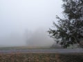 Dirt road on a foggy evening