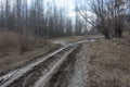 Dirt road in forest early spring. Tracks in rut from stuck car Royalty Free Stock Photo