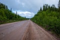 a dirt road into the forest going into the distance. Royalty Free Stock Photo