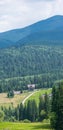 Dirt road, forest, mountains Royalty Free Stock Photo