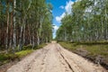 Dirt road in forest serving as an emergency route for authority services in case of fire. Royalty Free Stock Photo
