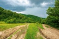 dirt road through forested countryside