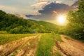 dirt road through forested countryside at sunset