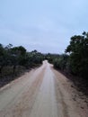 Dirt Road on the Freycinet Peninsula Tasmania Australia