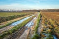 Dirt road with frozen puddles and tire tracks Royalty Free Stock Photo