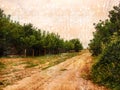 A Dirt Road Among Fruit Trees. A Farmer`s Orchard Against A Pink Sunset Sky. Autumn Time. Harvest Season. Digital Watercolor