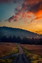 Dirt road going into a pine forest in the mountains in the morning before sunrise Royalty Free Stock Photo