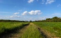 A dirt road through a green field and blue sky with white clouds Royalty Free Stock Photo