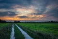 Dirt road through a green field and clouds after sunset Royalty Free Stock Photo