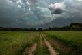 Dirt road through green field and dark stormy sky with clouds Royalty Free Stock Photo