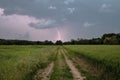 Dirt road through green field and dark stormy sky with clouds Royalty Free Stock Photo