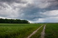 Dirt road through a green field, forest and storm clouds Royalty Free Stock Photo