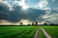 Dirt road and green field, sun shine over dark cloud Royalty Free Stock Photo