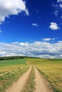 Dirt road in a field under a blue sky