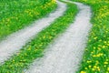 Road through green field with yellow blooming dandelion flowers Royalty Free Stock Photo