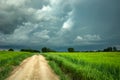 Dirt road in a green grain field and dark rainy clouds Royalty Free Stock Photo